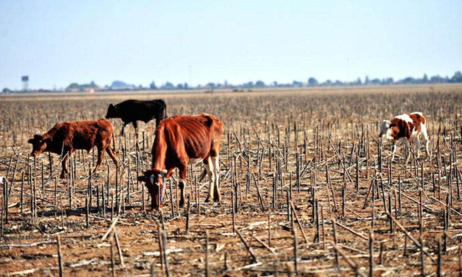 climate-signals-southern-africa-drought-2015